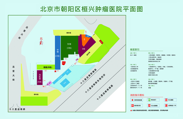 粉嫩小骚逼被操视频北京市朝阳区桓兴肿瘤医院平面图